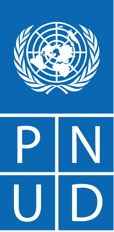 Logo PNUD